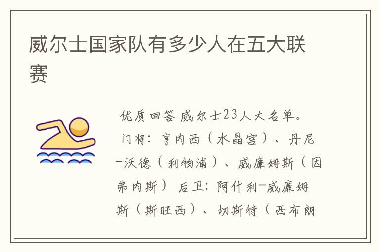 威尔士国家队有多少人在五大联赛