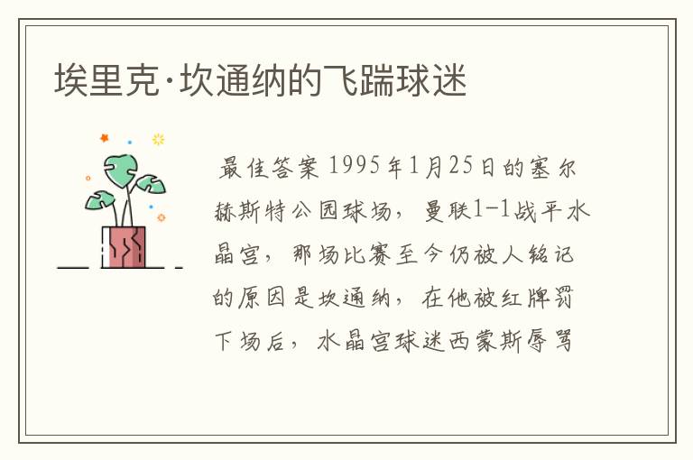 埃里克·坎通纳的飞踹球迷
