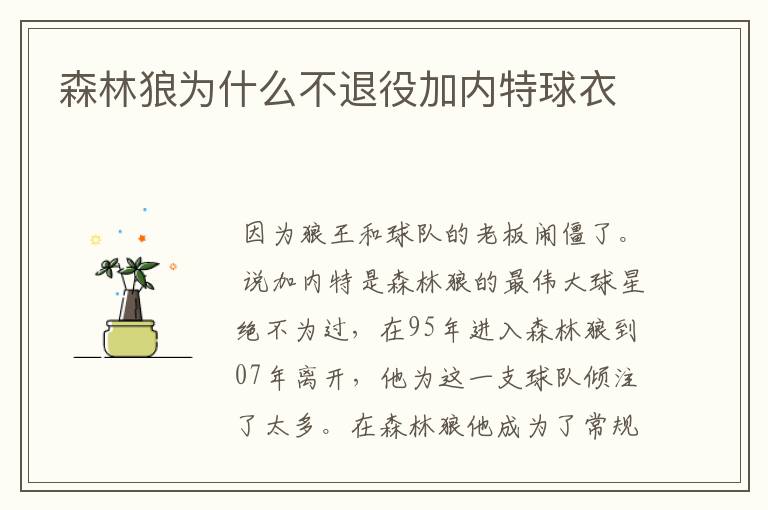 森林狼为什么不退役加内特球衣