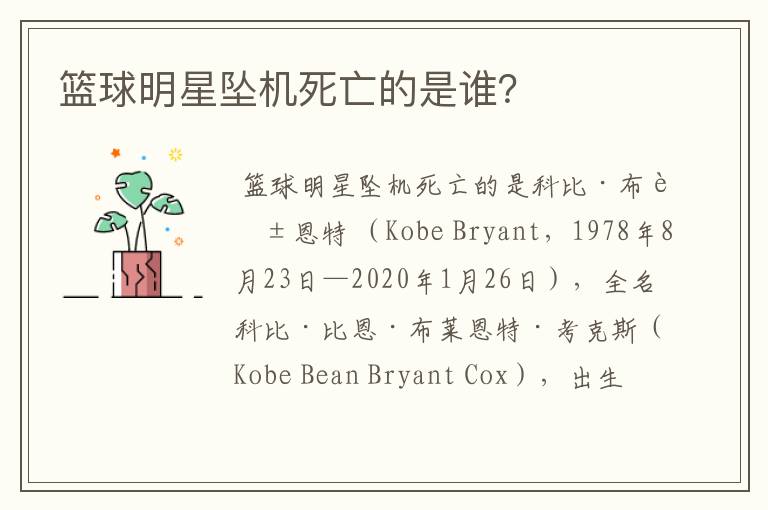 篮球明星坠机死亡的是谁?