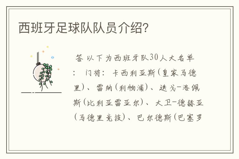 西班牙足球队队员介绍?