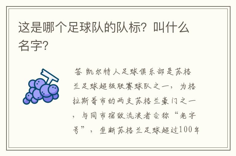 这是哪个足球队的队标?叫什么名字?
