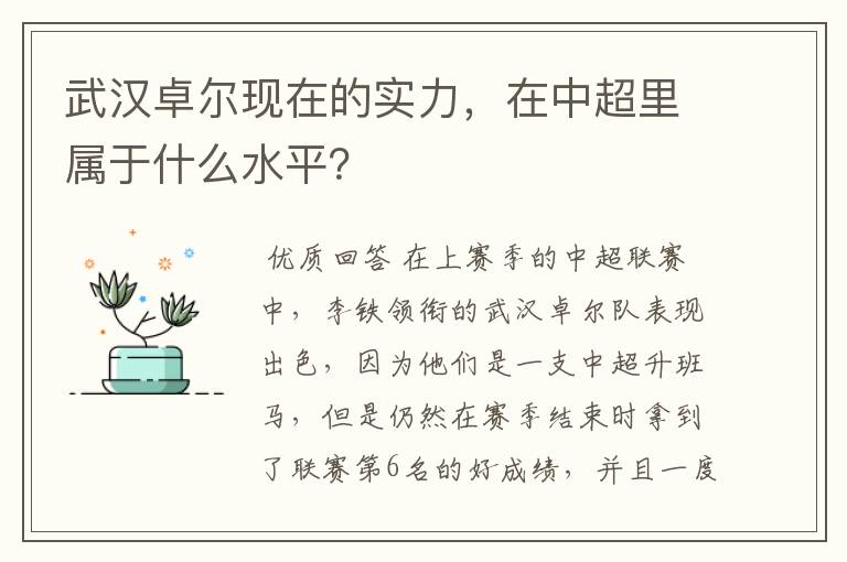 武汉卓尔现在的实力,在中超里属于什么水平?