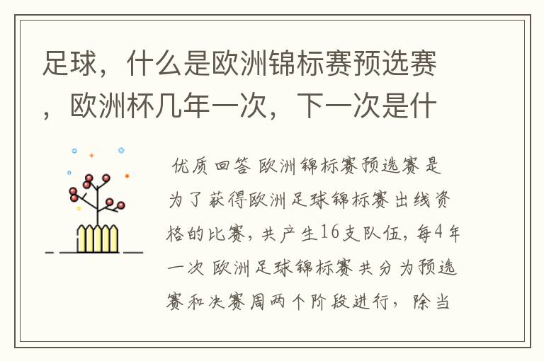 足球,什么是欧洲锦标赛预选赛,欧洲杯几年一次,下一次是什么时候