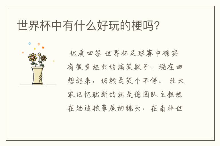 世界杯中有什么好玩的梗吗?