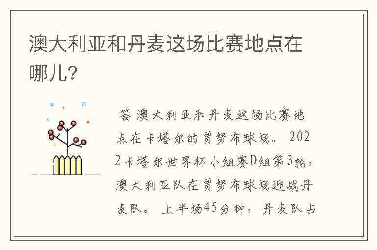 澳大利亚和丹麦这场比赛地点在哪儿?