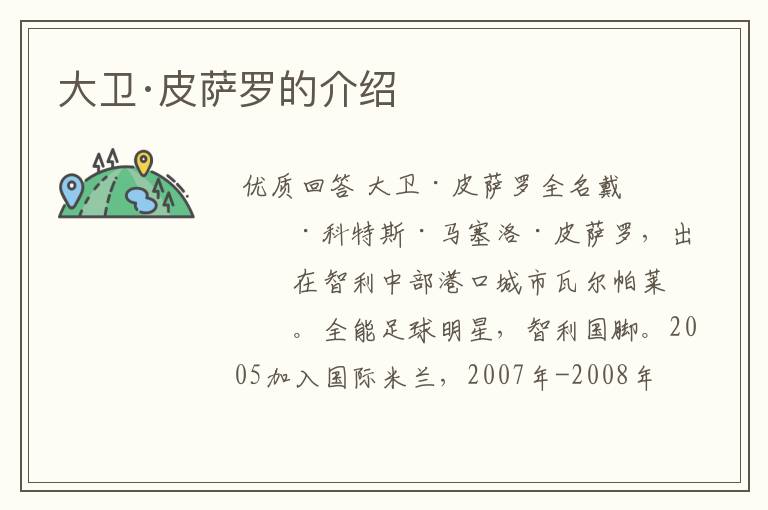 大卫·皮萨罗的介绍