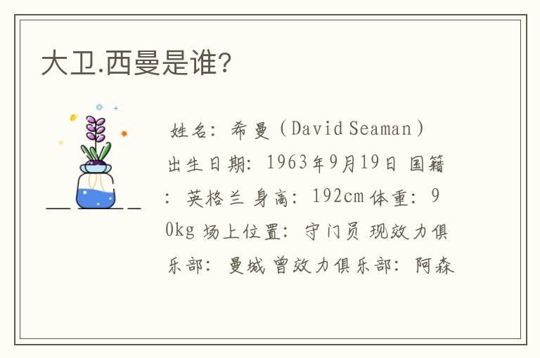 大卫.西曼是谁?