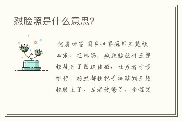 怼脸照是什么意思?