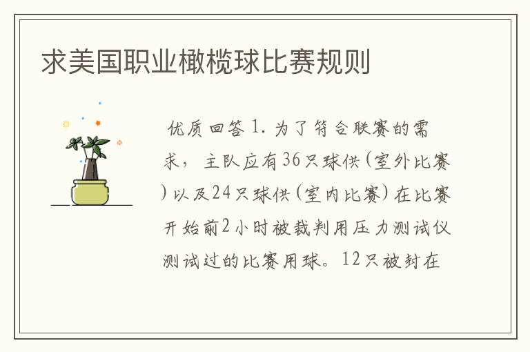 求美国职业橄榄球比赛规则