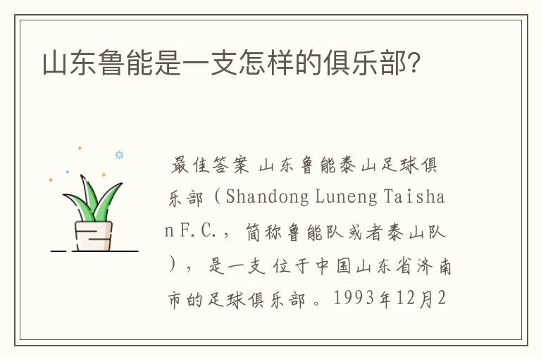 山东鲁能是一支怎样的俱乐部?