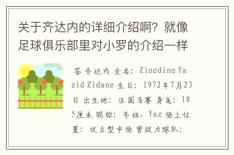 关于齐达内的详细介绍啊?就像足球俱乐部里对小罗的介绍一样,要从幼年开始的特别是他的坎坷的那一段
