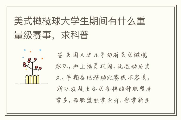 美式橄榄球大学生期间有什么重量级赛事,求科普