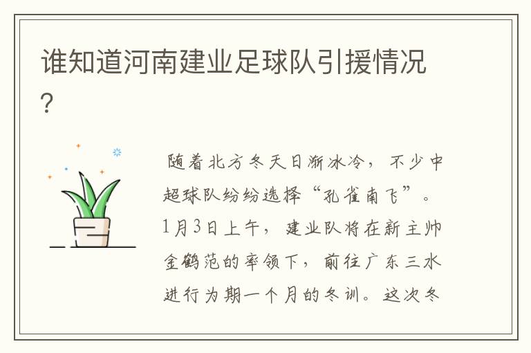 谁知道河南建业足球队引援情况?