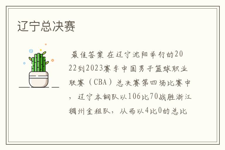 辽宁总决赛