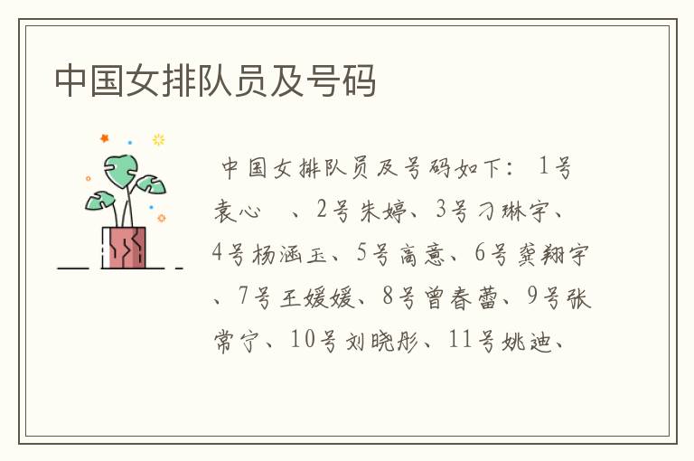 中国女排队员及号码