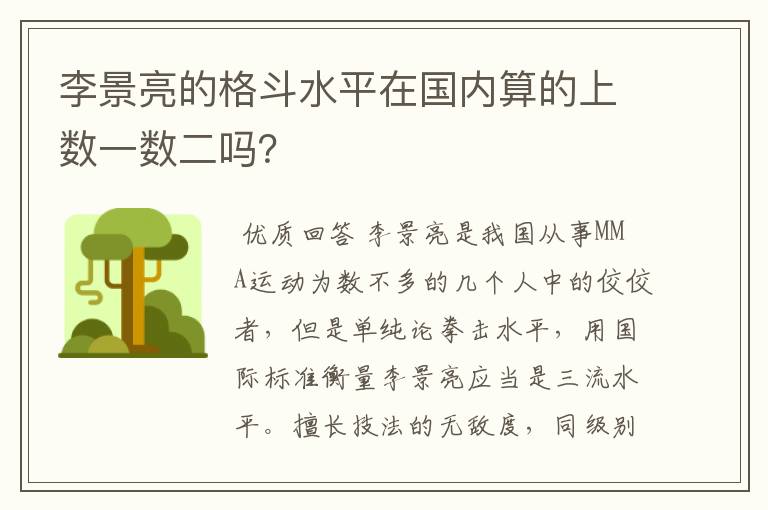 李景亮的格斗水平在国内算的上数一数二吗?