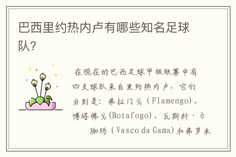 巴西里约热内卢有哪些知名足球队?