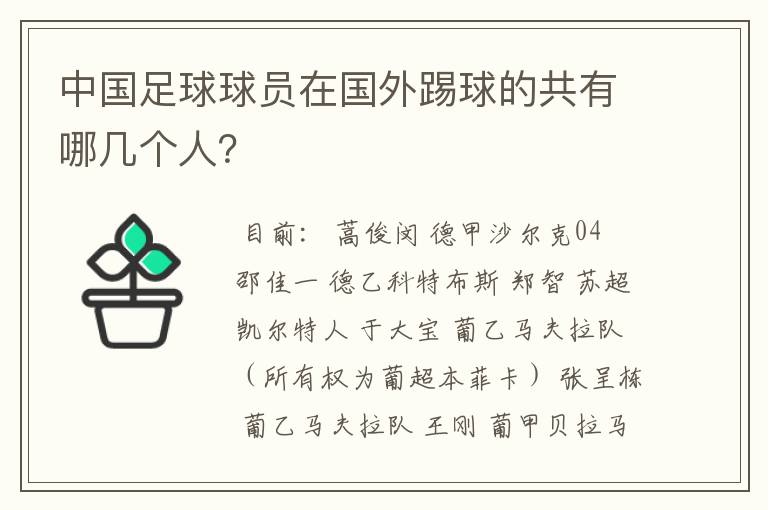 中国足球球员在国外踢球的共有哪几个人?