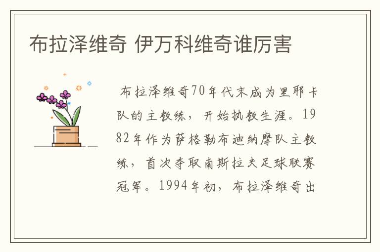 布拉泽维奇 伊万科维奇谁厉害
