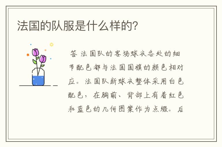 法国的队服是什么样的?