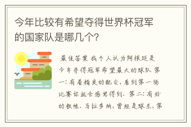 克罗地亚国家队回国战机护送