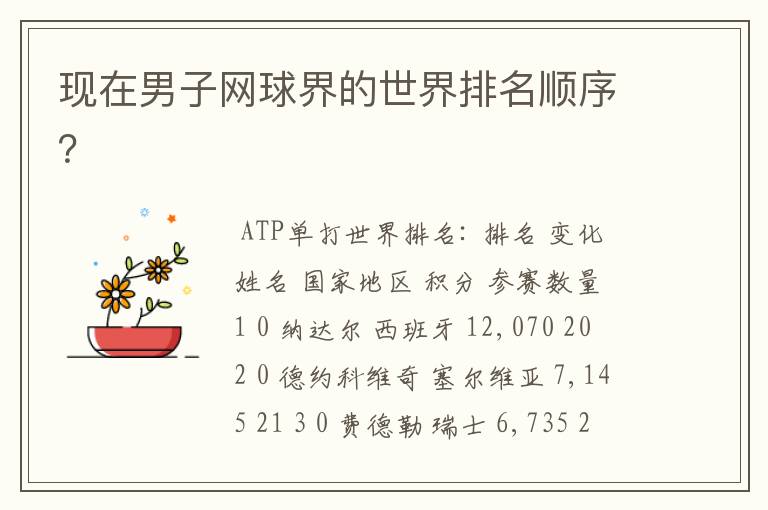 现在男子网球界的世界排名顺序?