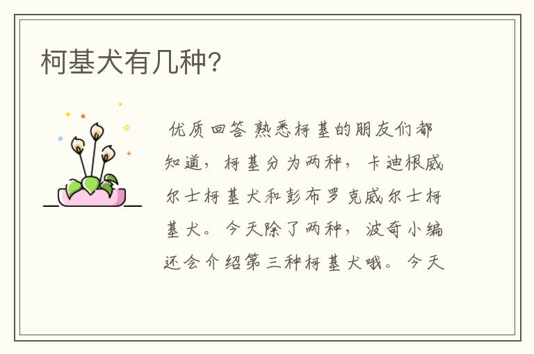 柯基犬有几种?