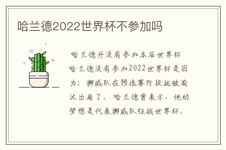 哈兰德2022世界杯不参加吗