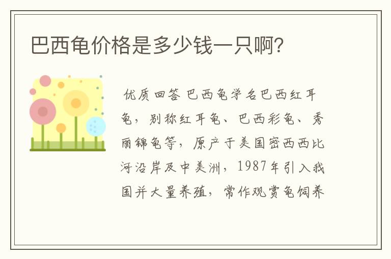 巴西龟价格是多少钱一只啊?
