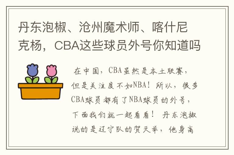 丹东泡椒、沧州魔术师、喀什尼克杨，CBA这些球员外号你知道吗 ？