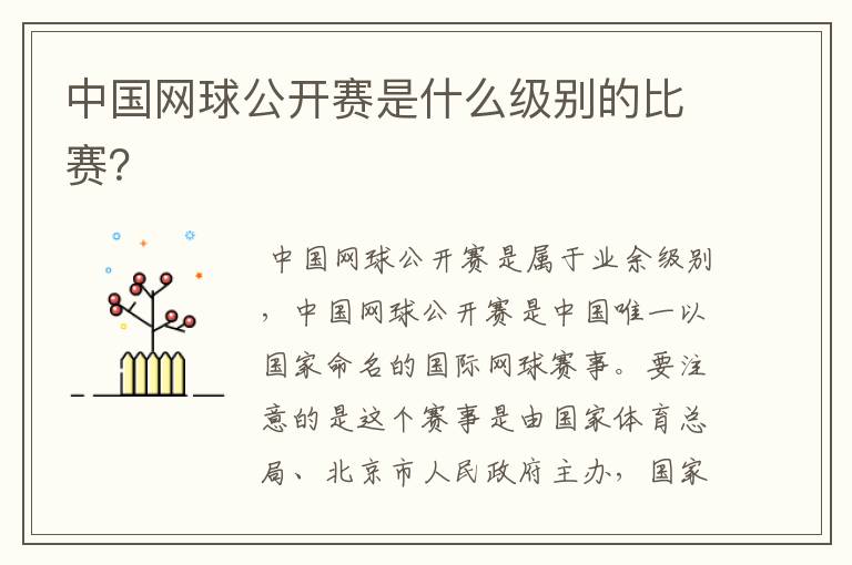 中国网球公开赛是什么级别的比赛?