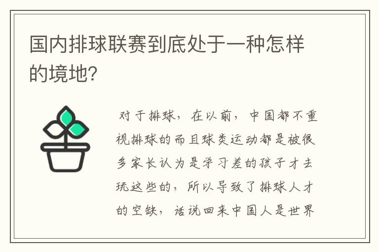 国内排球联赛到底处于一种怎样的境地?