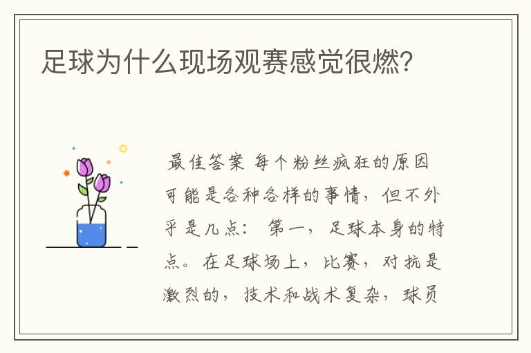 足球为什么现场观赛感觉很燃?