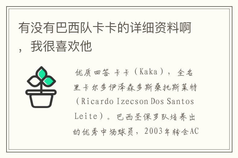 有没有巴西队卡卡的详细资料啊,我很喜欢他