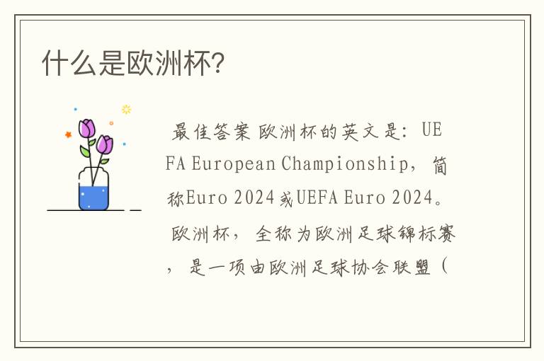 什么是欧洲杯?