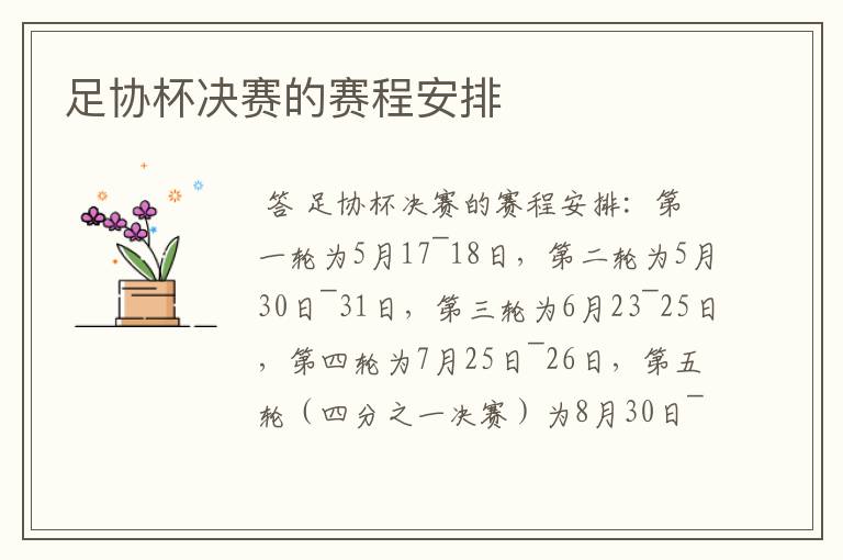 足协杯决赛的赛程安排