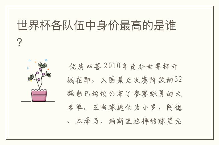 世界杯各队伍中身价最高的是谁?