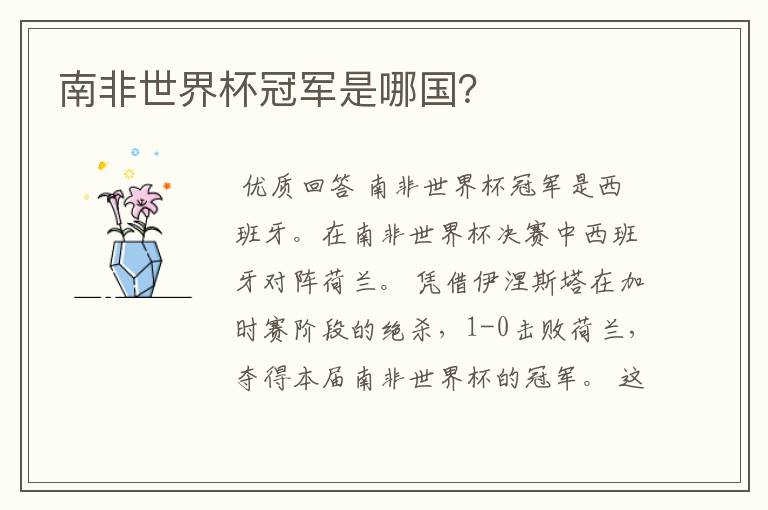 南非世界杯冠军是哪国?