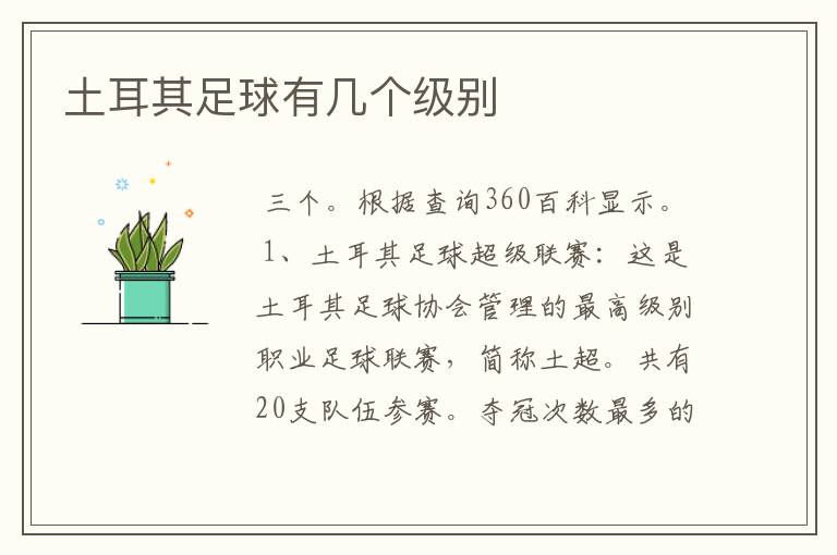 土耳其足球有几个级别
