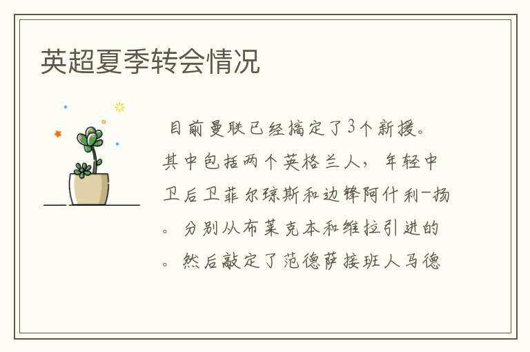 英超夏季转会情况