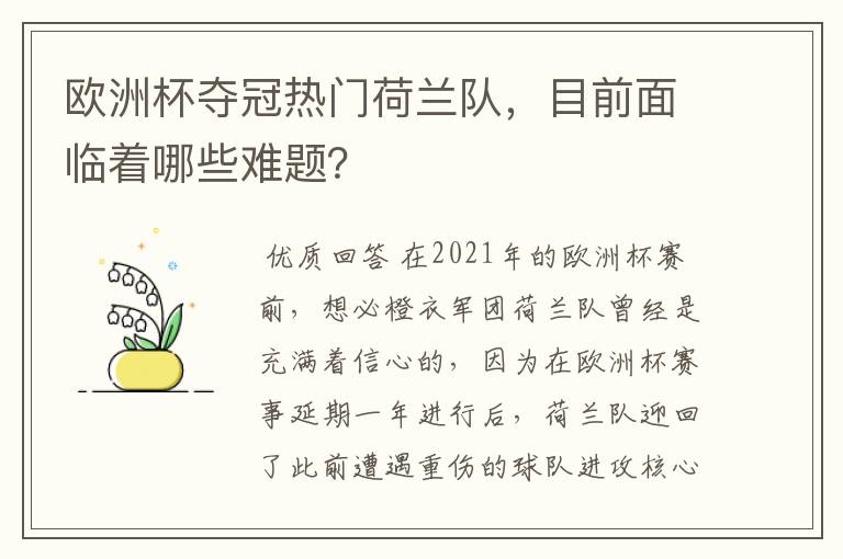 欧洲杯夺冠热门荷兰队,目前面临着哪些难题?