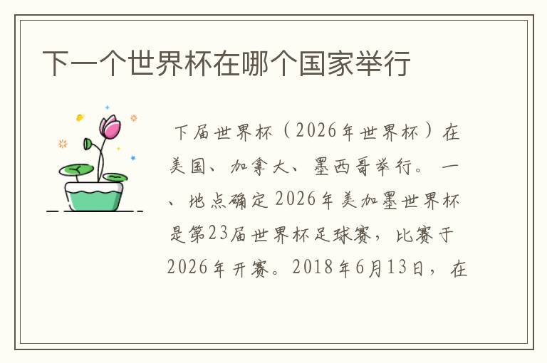 下一个世界杯在哪个国家举行