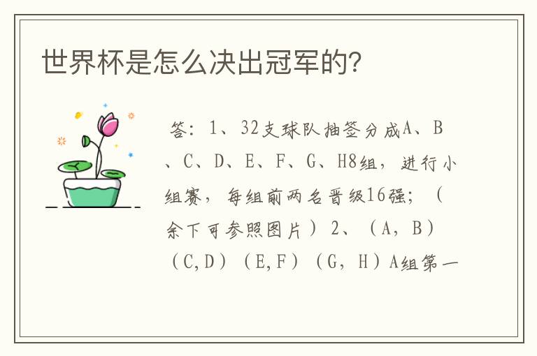 世界杯是怎么决出冠军的?