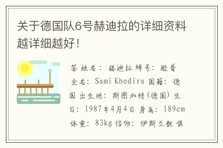 关于德国队6号赫迪拉的详细资料越详细越好!
