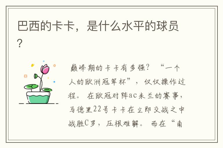 巴西的卡卡,是什么水平的球员?