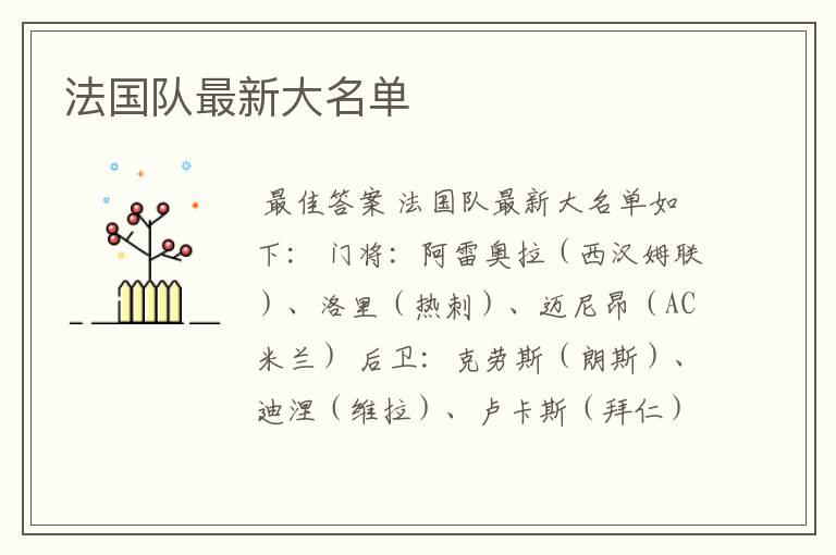 法国队最新大名单