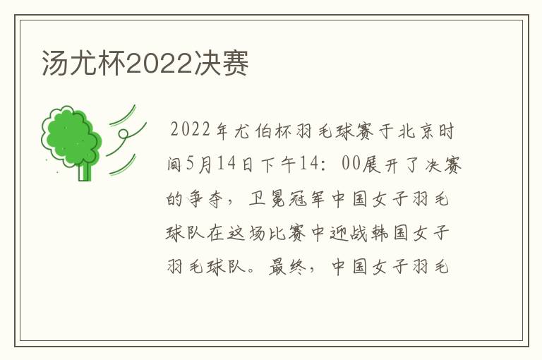 汤尤杯2022决赛