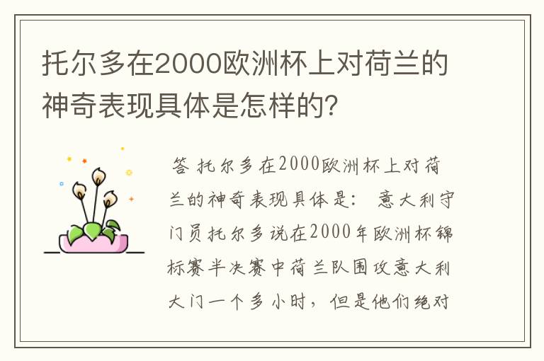 托尔多在2000欧洲杯上对荷兰的神奇表现具体是怎样的?