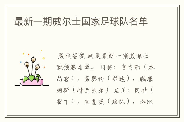 最新一期威尔士国家足球队名单